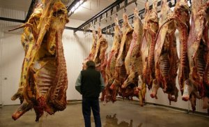 image source: www.treehugger.com