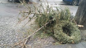 Nothing says "January blues" more than a pile of sorry-looking Christmas trees.
