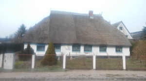 This thatched roof was so impressive I got off my bike to see it. 