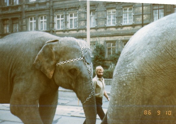 Olaf Schwarz with elephants